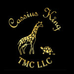 Cassius King Trademark Consultant